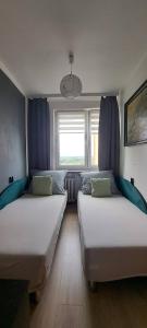 two beds sitting in a room with a window at Green apartament 21 in Oświęcim