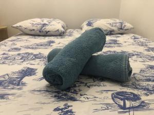 オルレアンにあるLa Fauconnerie Studio de charme au cœur d'Orléansのベッド1台(タオル、枕2つ付)