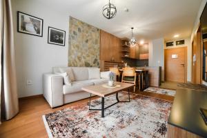 Kuhinja ili čajna kuhinja u objektu Hotel Zlatibor - lux apartman