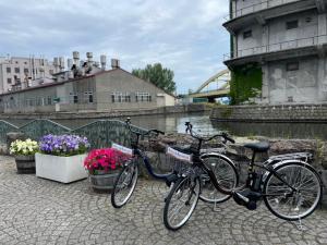 Fotografie z fotogalerie ubytování Cozy Inn OTARU v destinaci Otaru