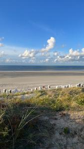a beach with a bunch of animals on the sand at Haus Seeschwalbe - Wohnung 15 in Spiekeroog