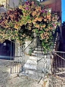 Fotografia z galérie ubytovania Corfu Pelekas Apartment v destinácii Pelekas
