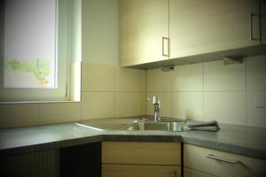 a kitchen counter with a sink and a window at Flößer-Heimat Wiesenblick in Baiersbronn +17 photos