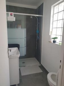 a bathroom with a shower and a sink and a toilet at Petite maison individuelle à 30min de Paris in Brétigny-sur-Orge