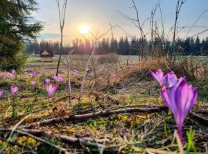 Příroda nedaleko penzionu – hostince
