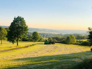 a tractor parked in a field with a tree at Tiny House am Nürburgring in Nürburg