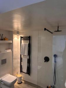 a bathroom with a toilet and a glass shower at Asterias in Skiros +93 photos