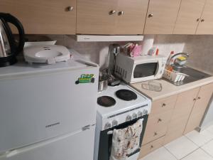 a small kitchen with a stove and a microwave at marias apartment in Mytilini