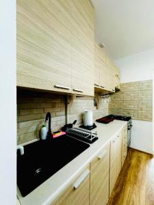 Kuchyňa alebo kuchynka v ubytovaní Cristal Apartament Krynica - Zdrój