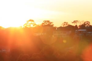 Gallery image of Panorama in Sydney +40 photos