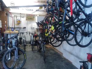 Jazda na bicykli v okolí ubytovania Le Lutin