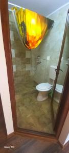 a bathroom with a toilet and a shower with a window at Casa OLE in Costinesti +16 photos