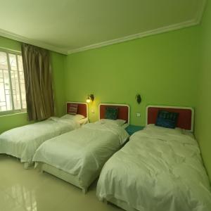 three beds in a room with green walls at Yangshuo How Flowers Hostel & Party Coliving Coworking Nomads in Yangshuo