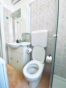 a bathroom with a toilet and a sink and a shower at Lovely apartment in center Seregno in Seregno +10 photos