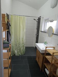 a bathroom with a shower and a sink at NEU! Ferienhaus Schwedt in Schwedt