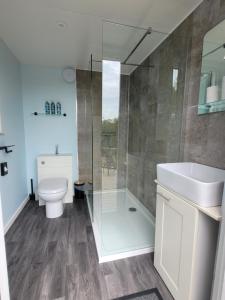 兰彼得Go Eco Glamping的带淋浴、马桶和水槽的浴室