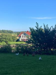 Příroda nedaleko bed and breakfast