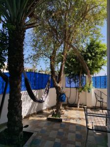 a hammock hanging between two trees in a courtyard at Villa Andalusia Dahab blue in Dahab