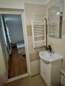 a bathroom with a sink and a mirror at Canadian House in Sărata-Monteoru +19 photos