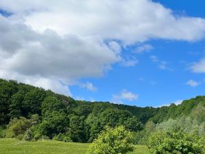 Afbeelding uit fotogalerij van Casa Din Deal in Podişu