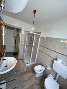 a bathroom with a shower and a toilet and a sink at Bardi al Riolo Betulla appt in Bardi
