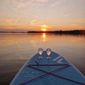 two wine glasses on the back of a paddle boat on a lake at Ferienhaus SeeZeit direkt am Geiseltalsee mit Sauna und Fahrradgarage in Mücheln +39 photos