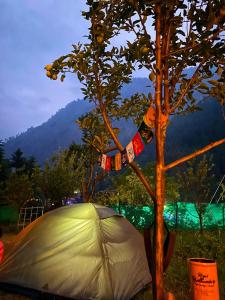 a tent and a tree next to a tree at Canvas and Coffee in Kasol