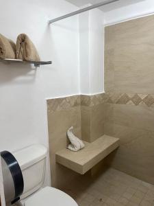 une salle de bain avec une douche avec des toilettes et un lavabo dans l'établissement Palma Real vista al mar, à Manzanillo 18 autres photos