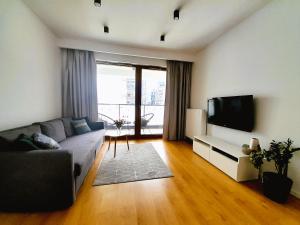 Televízia a/alebo spoločenská miestnosť v ubytovaní Vista Residence Premium