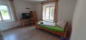 a small room with a bed and a television at Amtmannhaus Ferienunterkunft Irdning Ennsradweg Budgetzimmer in Irdning
