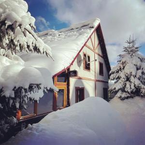 ein schneebedecktes Haus mit einem schneebedeckten Dach in der Unterkunft Vila Artemis in Rausor