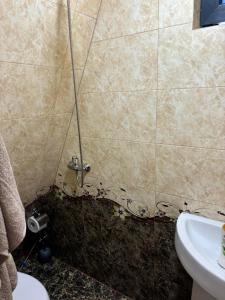 a shower in a bathroom with a toilet and a sink at Zovaber hangsti goti in Sevan