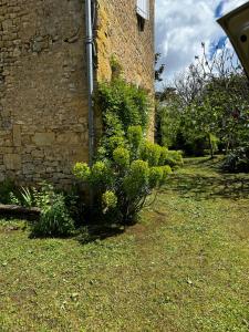 Giardino di Choubello Gite classé 4 étoiles