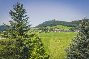 Fotografie z fotogalerie ubytování Haus Lemmerer v destinaci Gmunden