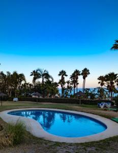 ベナルマデナにあるApartamento en Benalmádena - Colosoのヤシの木が背景に浮かぶスイミングプール
