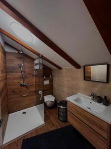 un bagno con doccia e lavandino di Villa Granda a Visočane