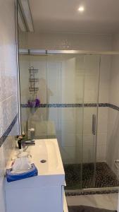 une salle de bain avec une douche en verre et un lavabo dans l'établissement Villa Provençale climatisée avec jardin, piscine, barbecue, sauna, à Mougins