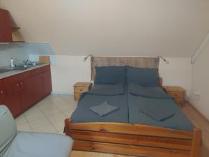 A kitchen or kitchenette at Apartman116 Airport