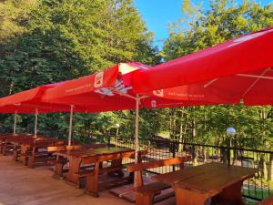a row of picnic tables with red umbrellas at Great Mountain B&B Platak in Platak