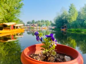 Permandangan sungai dekat dengan hotel