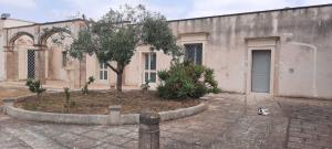 Fotografie z fotogalerie ubytování Anghelos v destinaci Lizzanello