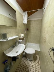 ウンターハヒングにあるCozy apartment in commercial centre for twoの洗面台、トイレ、浴槽を備えたバスルーム