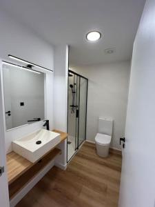 a bathroom with a sink and a toilet at Carud Nº15 in Monforte de Lemos +17 photos