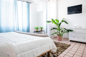 a bedroom with a bed and a plant at Casa Palma in La Paz +71 photos