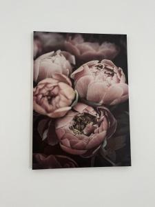 a picture of pink flowers on a wall at House of Flowers in Spinea