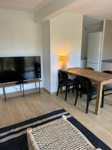 TV in/ali zabaviščno središče v nastanitvi Appartement neuf Barcelonnette