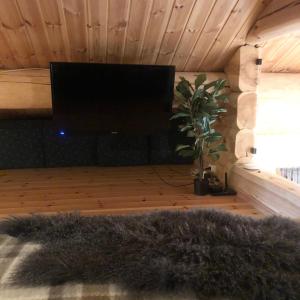 TV a/nebo společenská místnost v ubytování Hyggelig laftehytte på 140kvm med Ski-In/Out