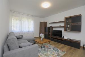 a living room with a couch and a tv at Apartment Ondina in Rijeka