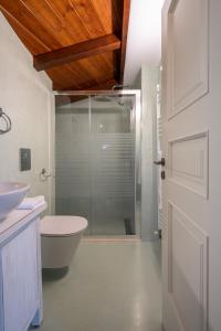 a bathroom with a shower and a toilet and a sink at Aries, Marvelous 2floors Maisonette Old Town of Kyparissia in Míloi +52 photos