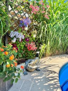 Zahrada ubytování Ferienhaus Ankinchen